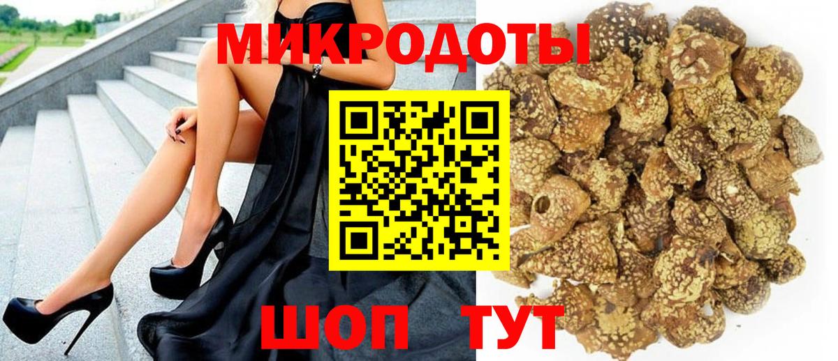 Псилоцибиновые грибы GOLDEN TEACHER  Вход с VPN  Черкесск 